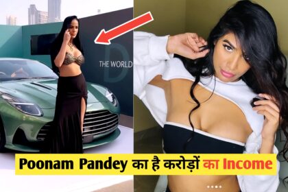 Poonam Pandey Net worth