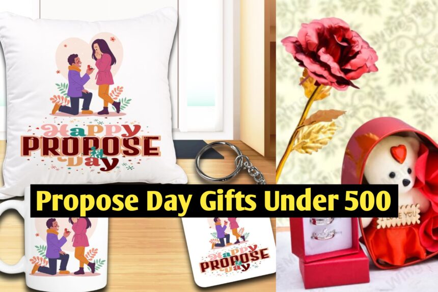 Propose Day Gifts under 500