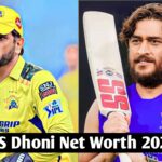 MS Dhoni Net Worth 2024